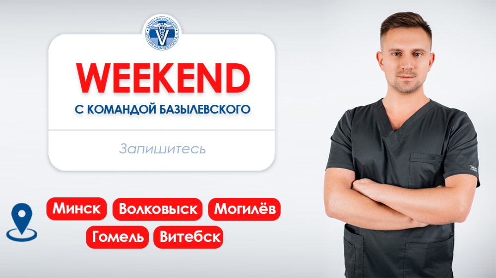 dlinnyy-weekend-s-komandoy-bazylevskogo-3 ДЛИННЫЙ WEEKEND с командой Базылевского