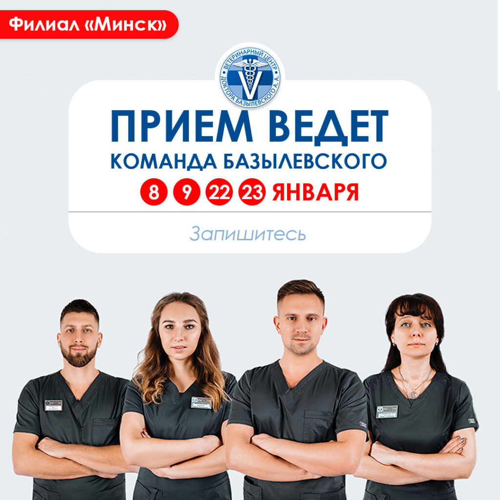 komanda-bazylevskogo-v-minske-1024x1024 Команда Базылевского в Минске