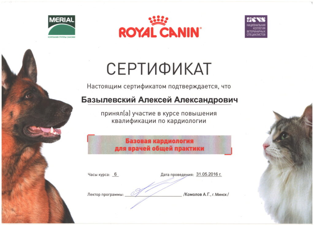 sertifikat-bazylevskiy-aleksey-aleksandrovich-17-1024x733 Базылевский Алексей Александрович