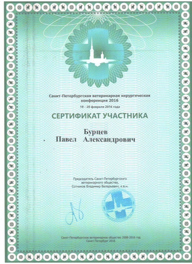 sertifikat-burcev-pavel-aleksandrovich-6 Бурцев Павел Александрович