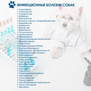 pcr-diagnostika-dlya-pitomcev-300x300 ПЦР-диагностика для ваших питомцев