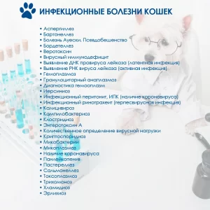 pcr-dlya-vashih-pitomcev-300x300 ПЦР-диагностика для ваших питомцев