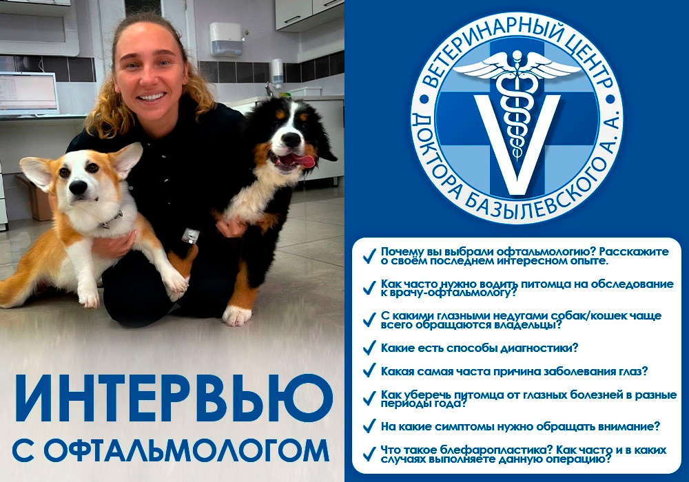 intervyu-s-veterinarnym-oftalmologom Интервью с ветеринарным офтальмологом