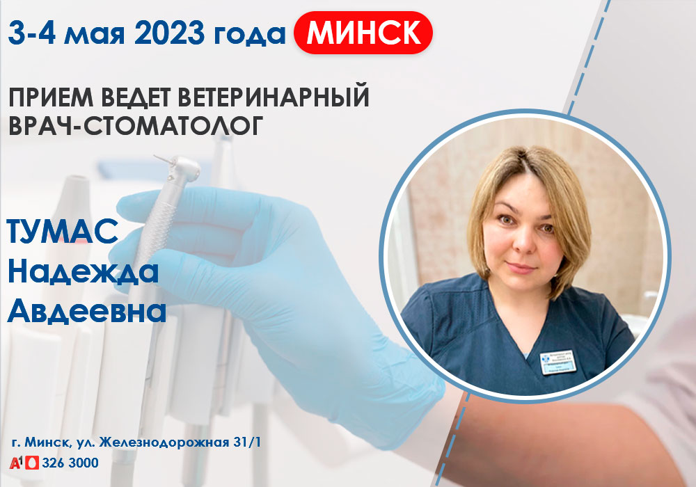 Приём врача-стоматолога в Минске