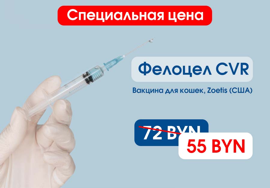 Фелоцел акция