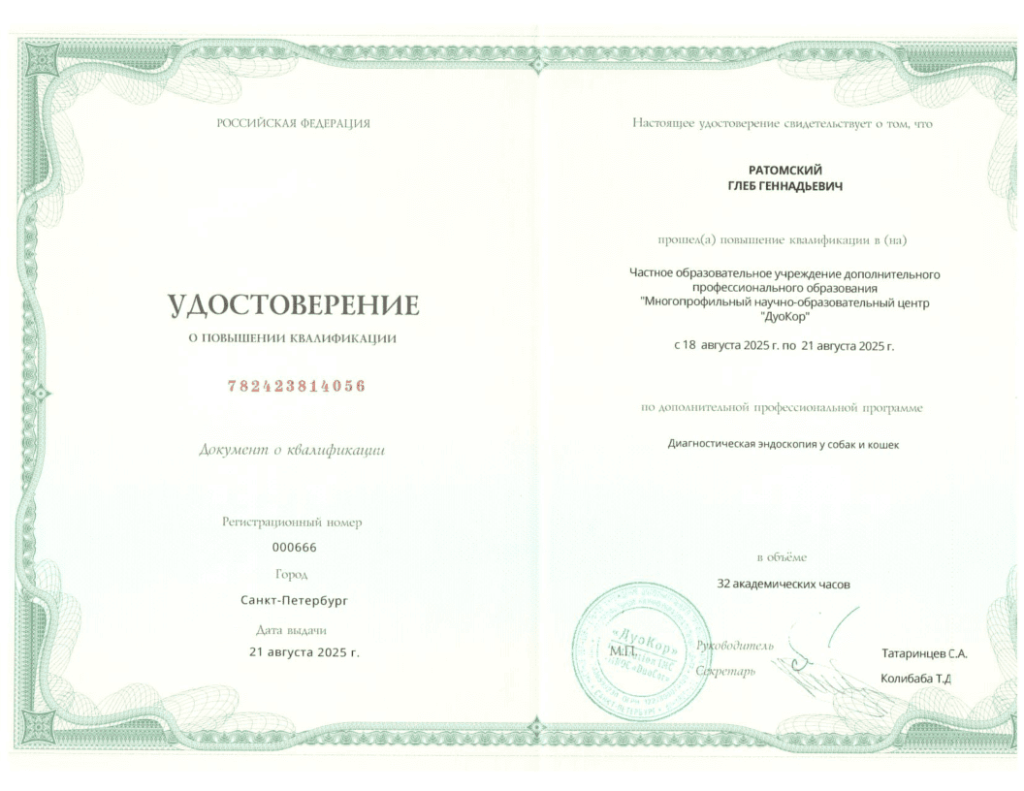 -Ратомский-Глеб-1024x791 Ратомский Глеб Геннадьевич