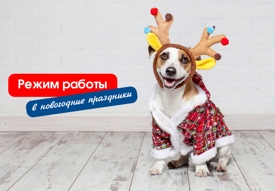 Режим работы в новогодние праздники