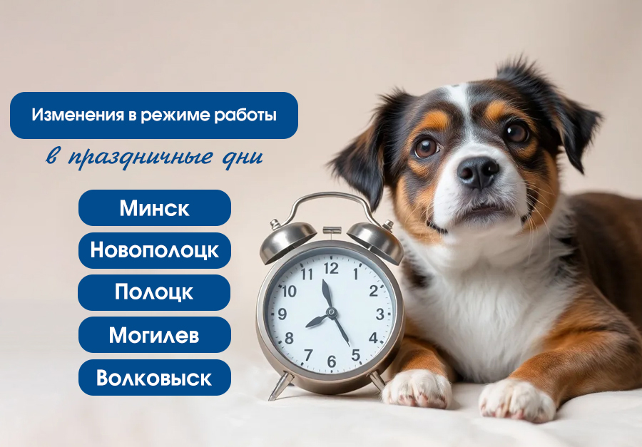 Режим работы в праздники