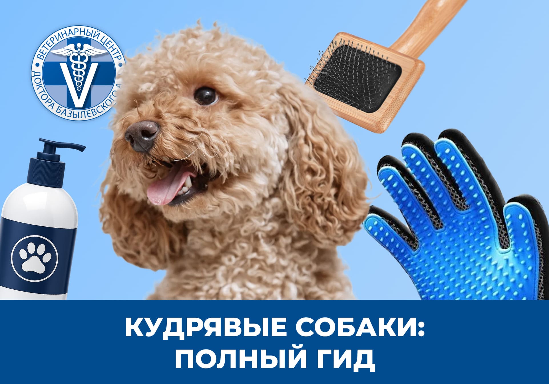 Кудрявые собаки полный гид