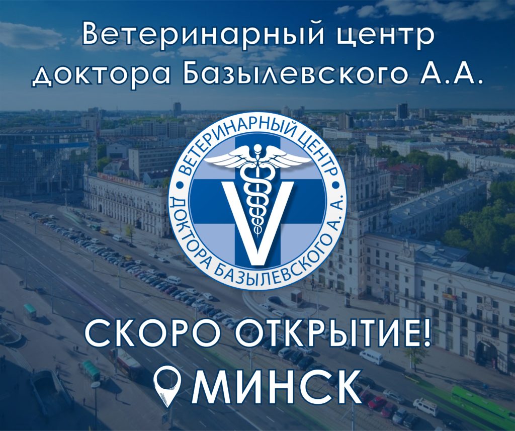 filial-minsk-veterinarnogo-centra-doktora-bazylevskogo-aa Филиал «Минск» Ветеринарного центра доктора Базылевского А.А.