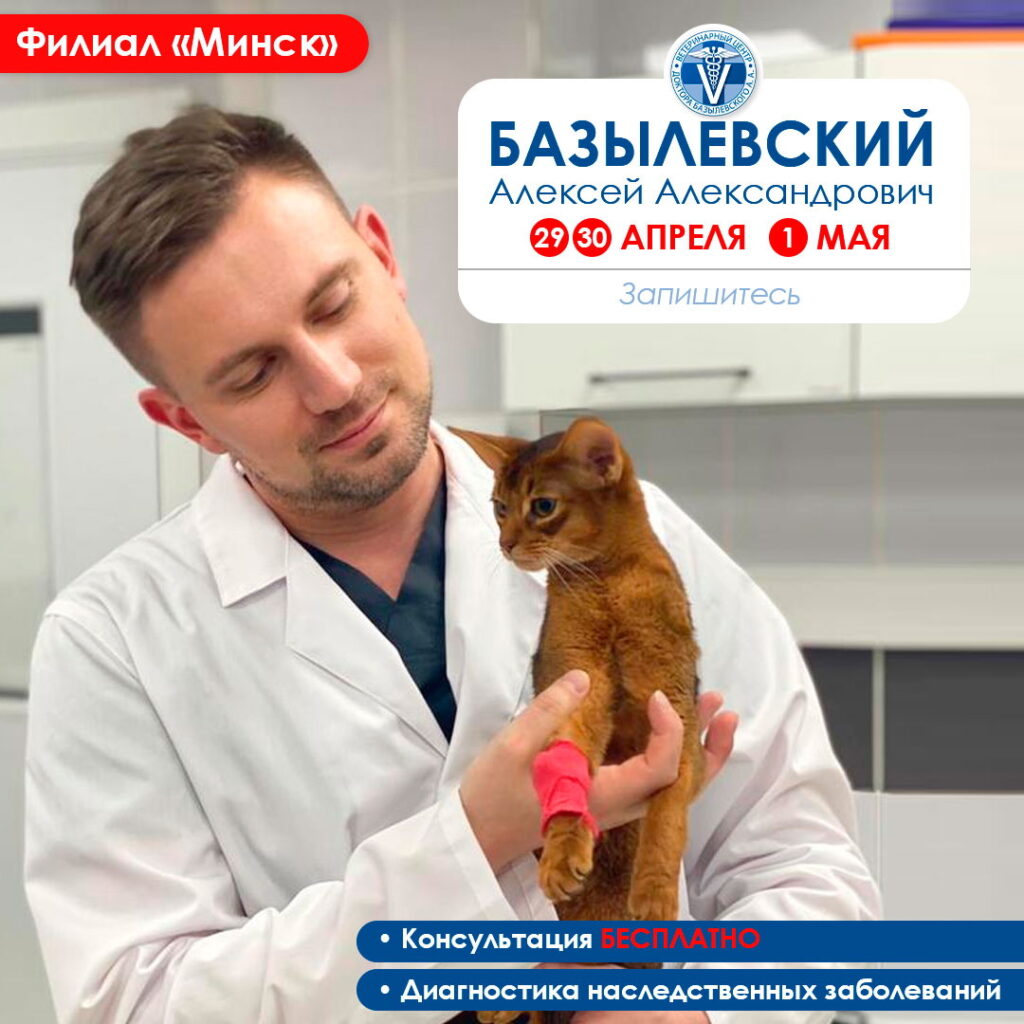 minsk-besplatnaya-konsultaciya-1024x1024 МИНСК! БЕСПЛАТНАЯ КОНСУЛЬТАЦИЯ