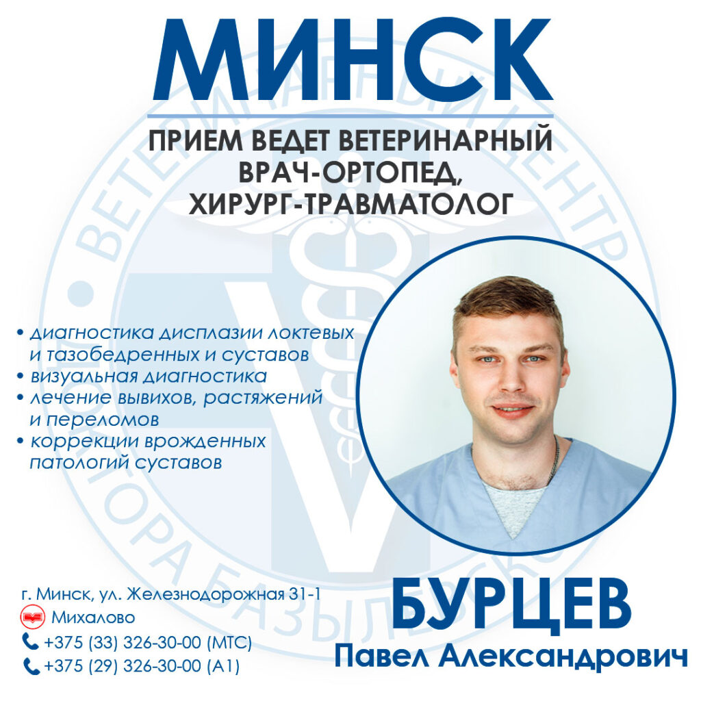 minsk-priem-vedet-veterinarnyy-vrach-ortoped-hirurg-travmatolog-1024x1024 МИНСК! Прием ведет ветеринарный врач-ортопед, хирург-травматолог