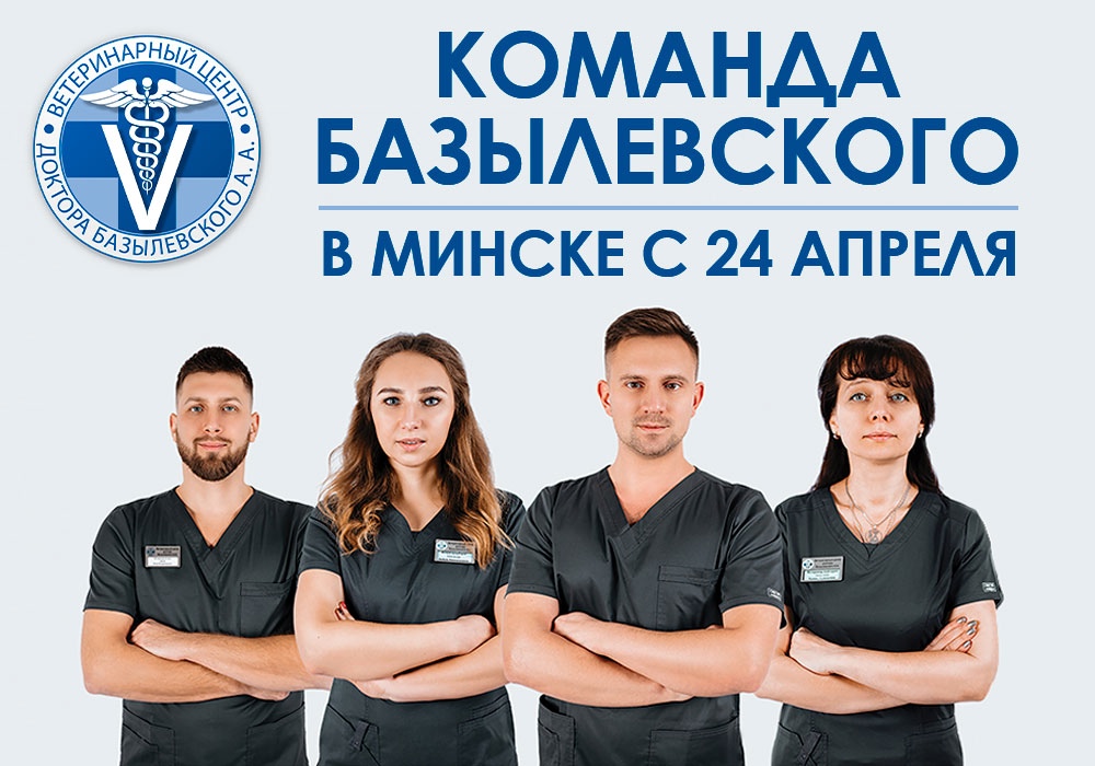s-24-aprelya-v-minske-vedushchie-vrachi-veterinarnogo-centra С 24 апреля в Минске ведущие врачи Ветеринарного центра