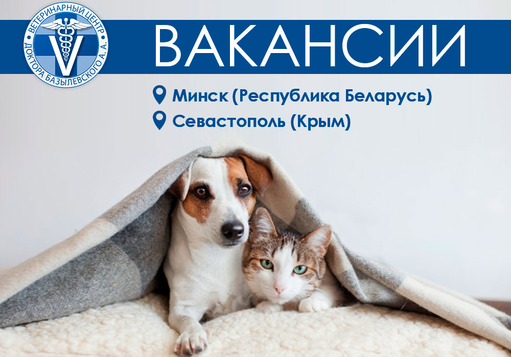 veterinarnyy-centr-doktora-bazylevskogo-aa-rasshiryaetsya Ветеринарный центр доктора Базылевского А.А. расширяется!