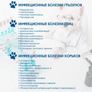 pcr-diagnostika-300x300 ПЦР-диагностика для ваших питомцев