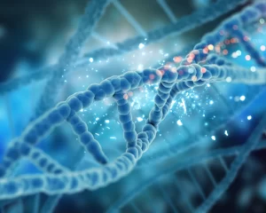 provodim-pcr-diagnostiku-300x240 ПЦР-диагностика для ваших питомцев