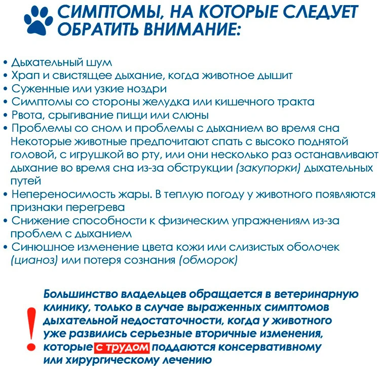 brahicefalicheskiy-sindrom-ocenka Оценка состояния дыхательной системы собак-брахицефалов
