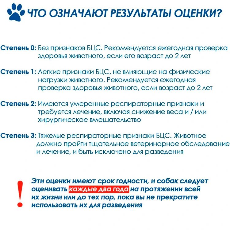 chto-oznachayut-rezultaty-ocenki Оценка состояния дыхательной системы собак-брахицефалов