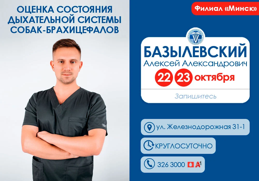 ocenka-sostoyaniya-dyhatelnoy-sistemy-sobak Оценка состояния дыхательной системы собак-брахицефалов