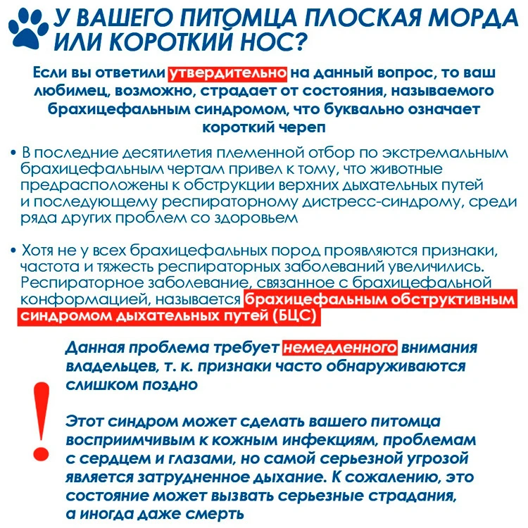 perechen-ocenki-brahicefalicheskogo-sindroma Оценка состояния дыхательной системы собак-брахицефалов