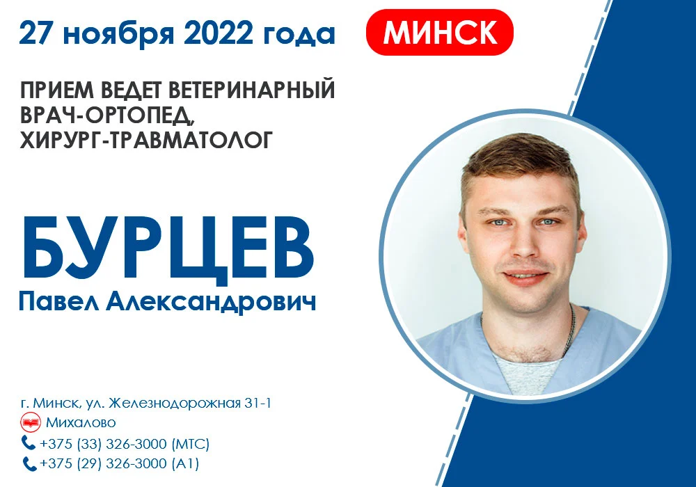 veterinarnyy-vrach-hirurg 27 ноября 2022 года приём ведёт врач-хирург, травматолог-ортопед Бурцев П.А.
