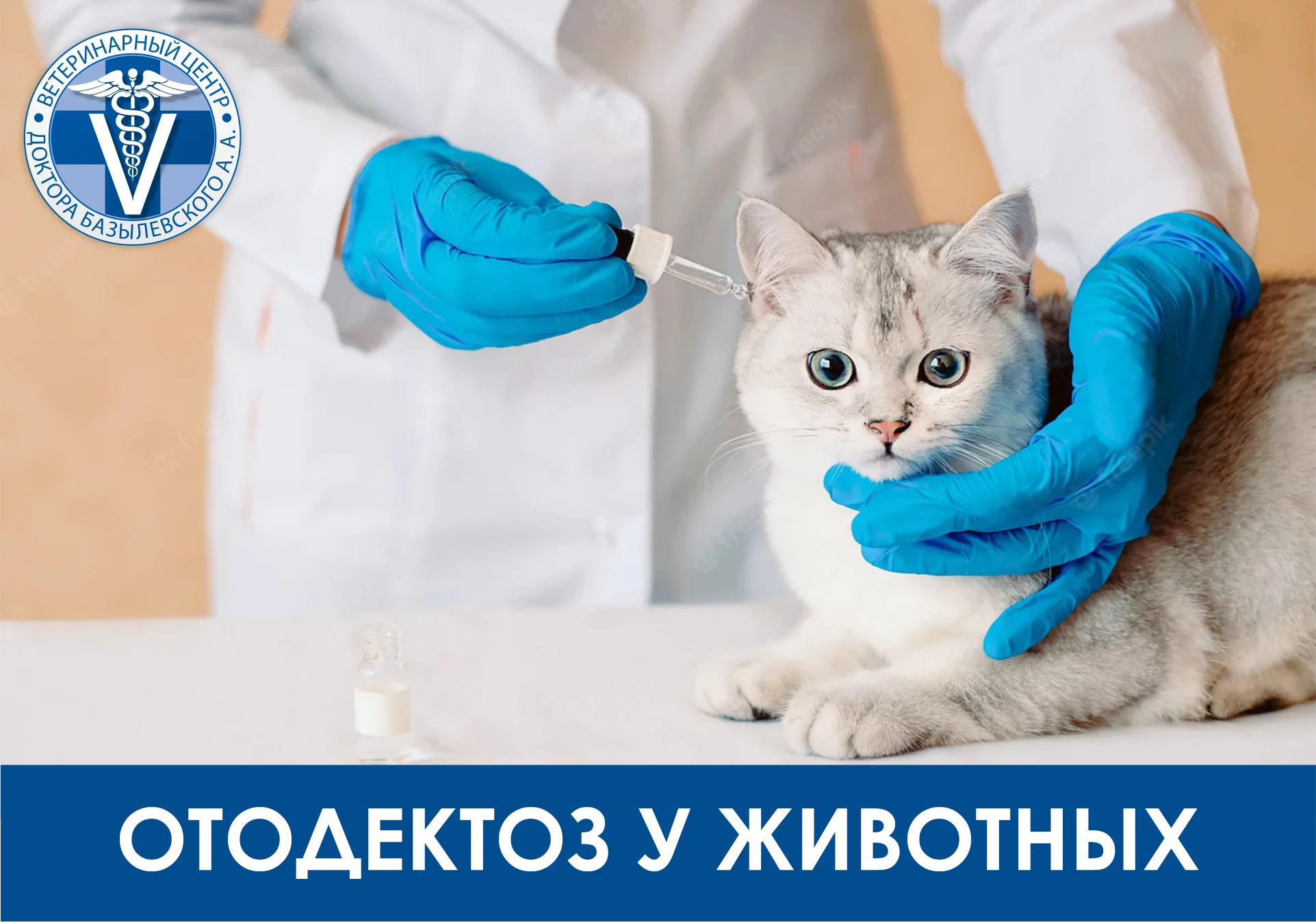 Отодектоз у животных