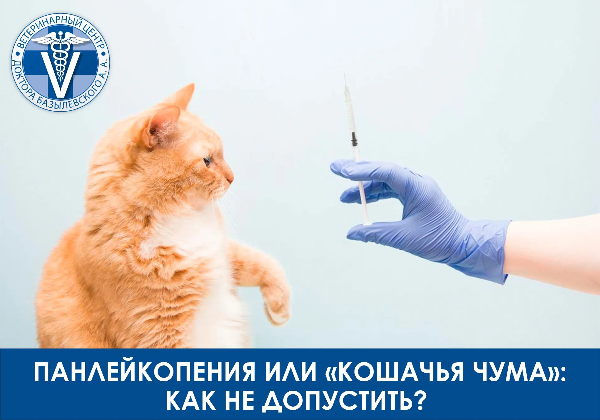 Панлейкопения у кошек