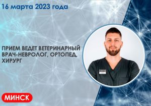 priem-vracha-nevrologa-v-minske-300x210 Прием врача невролога в Минске!