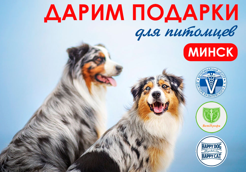 darim-podarki-ot-happy-dog Минск! Дарим подарки от Happy Dog