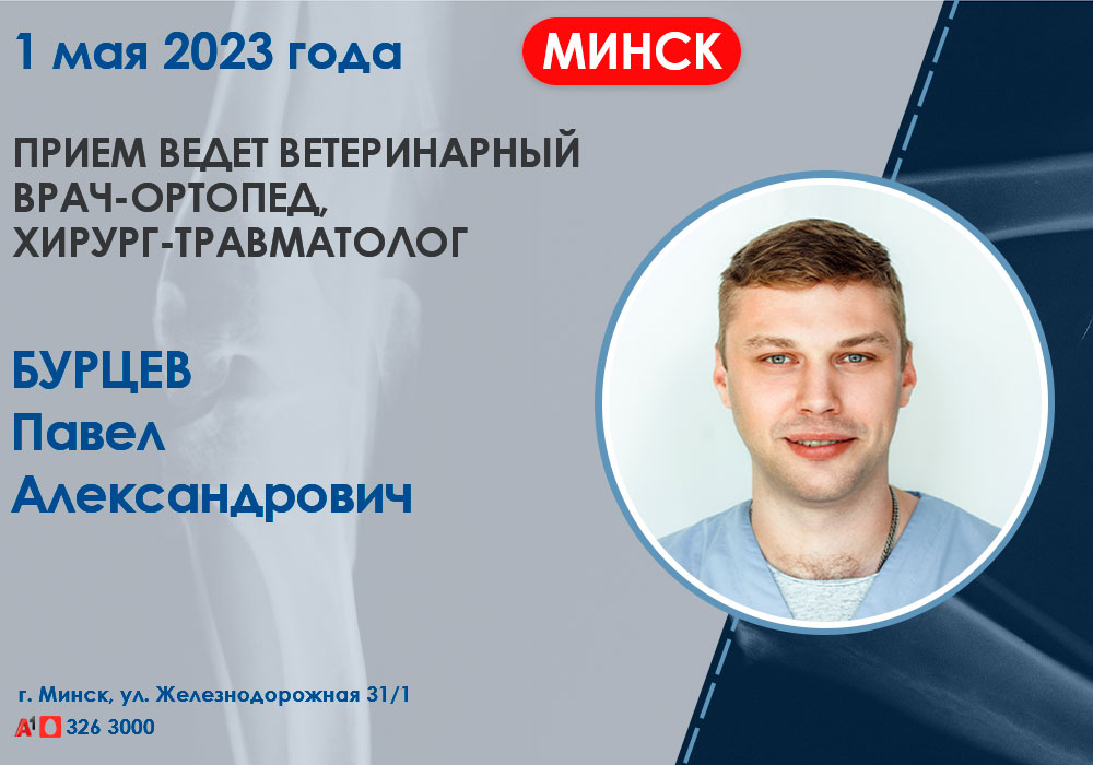 priem-vracha-travmatologa-ortopeda Прием врача травматолога-ортопеда в Минске!