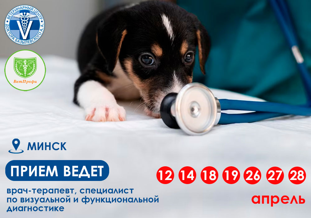priyom-vracha-terapevta Прием ведет врач-терапевт в Минске!