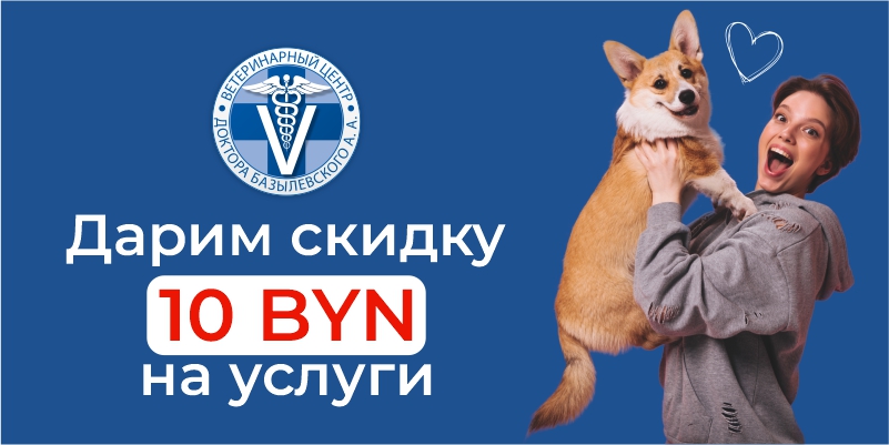 skidka-10-rubley-na-uslugi-v-veterinarnoy-klinike Специальное предложение в филиалах г. Минска