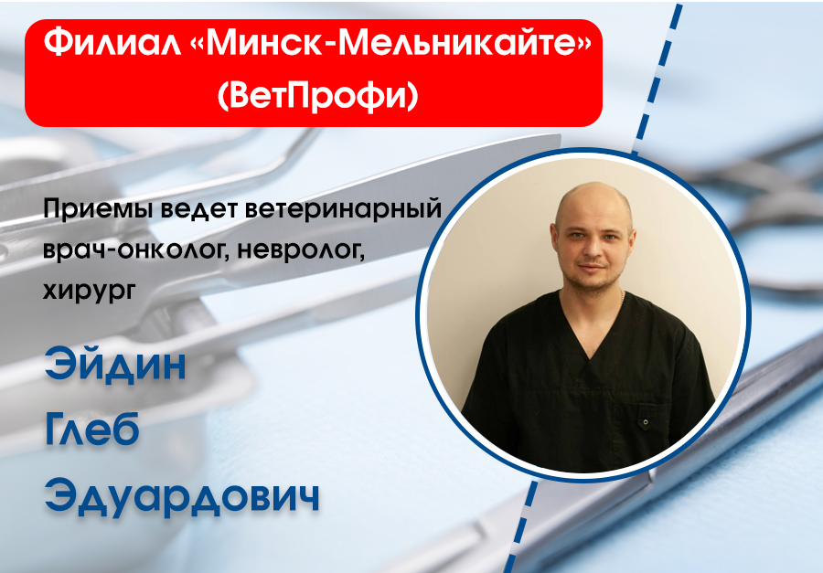 melnikayte-eydin-gleb-eduardovich В филиале "Минск-Мельникайте" (ВетПрофи) приемы ведет врач-онколог, невролог, хирург