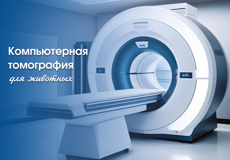 kompyuternaya-tomografiya Компьютерная томография (КТ) для животных доступна в нашем филиале в Минске!