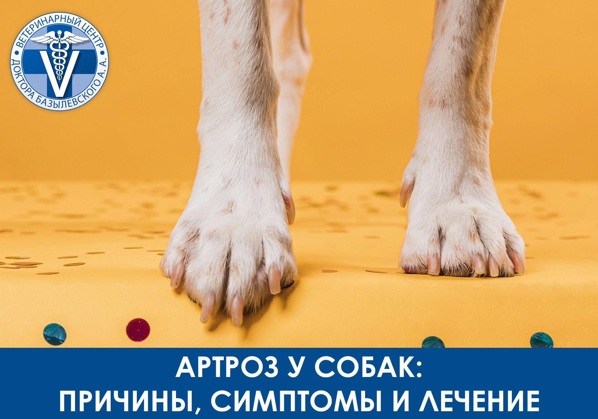 артроз у собак