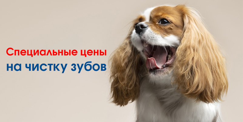 skidka-na-zuby-serebryanka Скидки июня в филиале «Минск-Серебрянка»