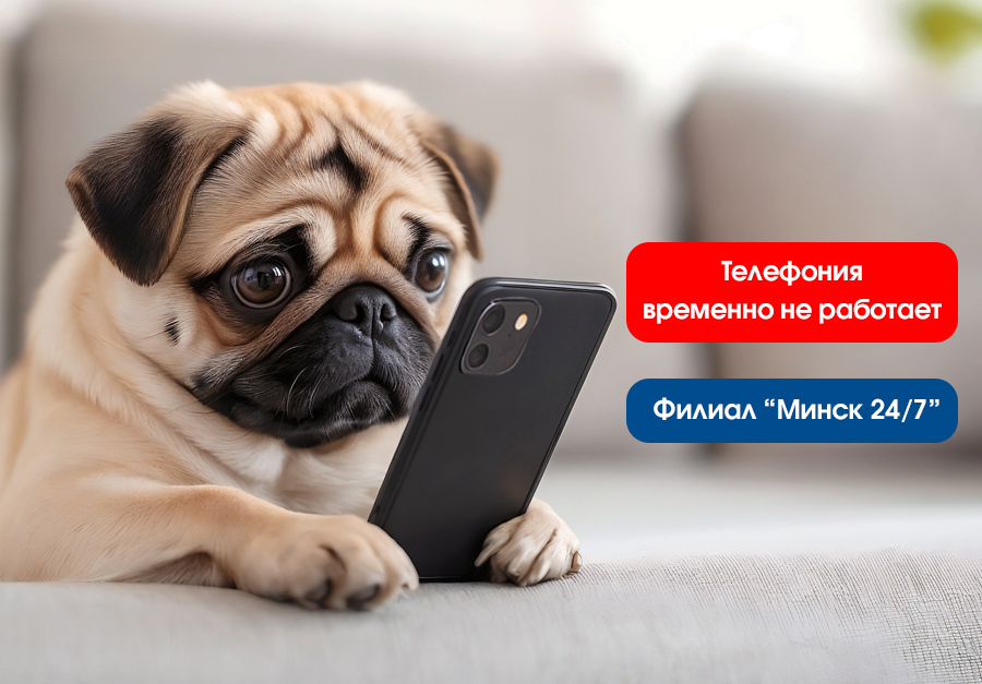 vremennye-problemy-s-telefoniey Внимание! Телефония временно не работает