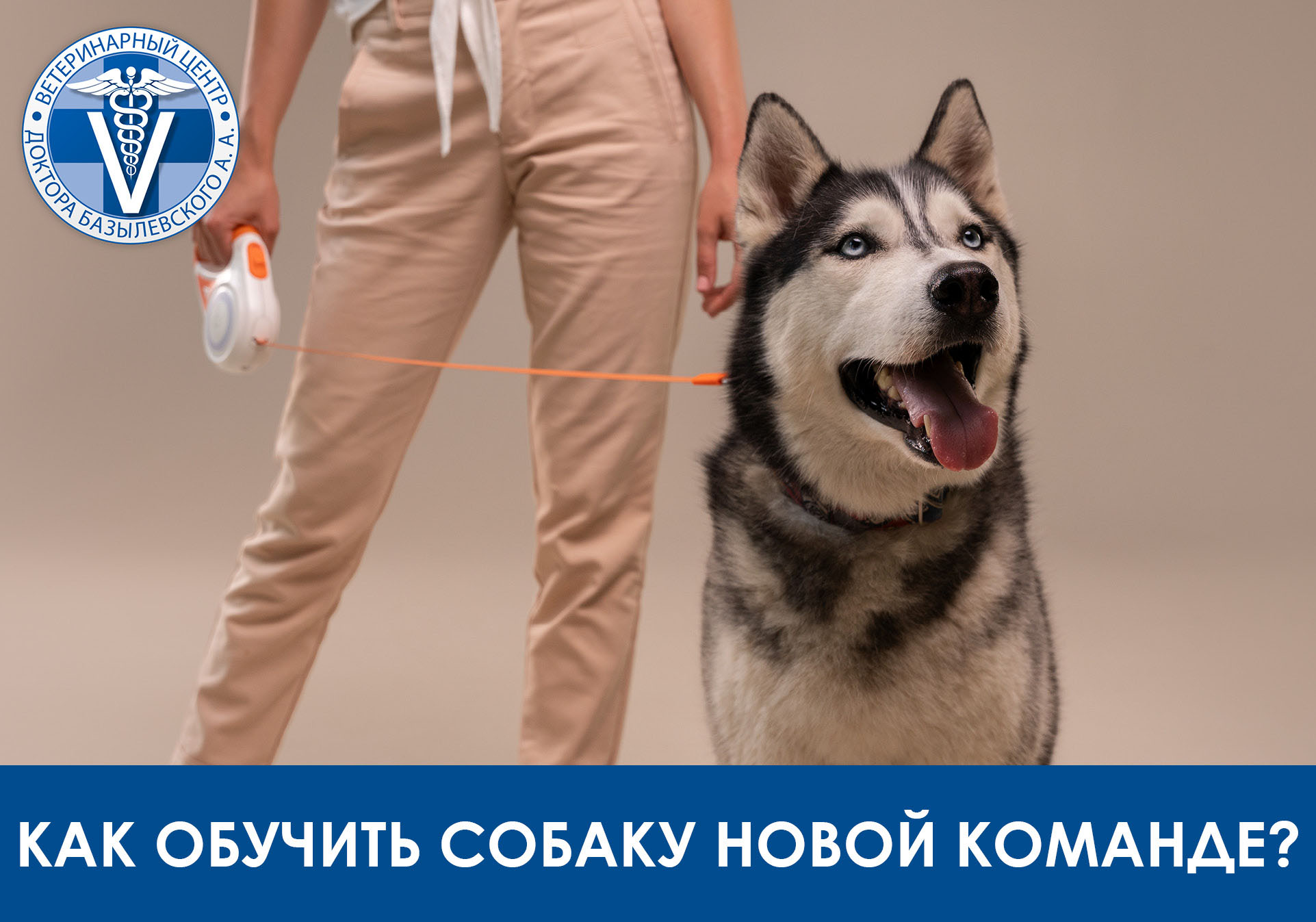 как обучить собаку новой команде